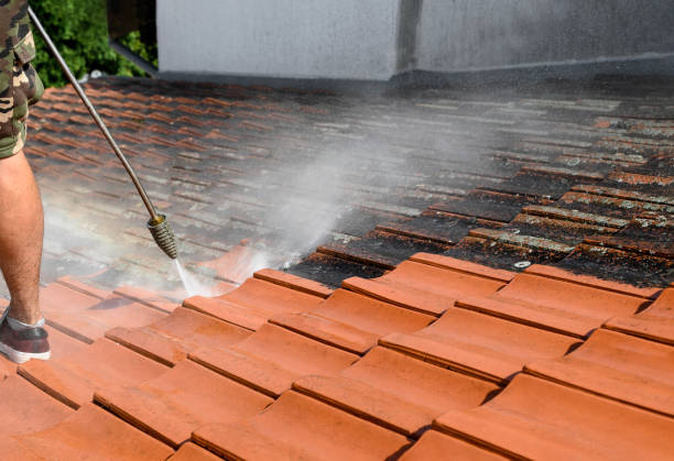 Best Residential Pressure Washing Services  in Langley Park, MD