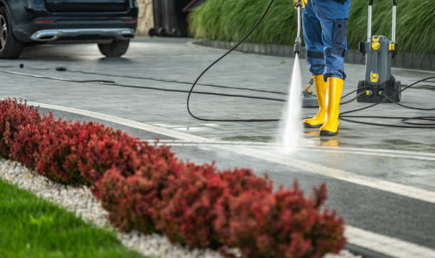 Best Pressure Washing Cost  in Langley Park, MD