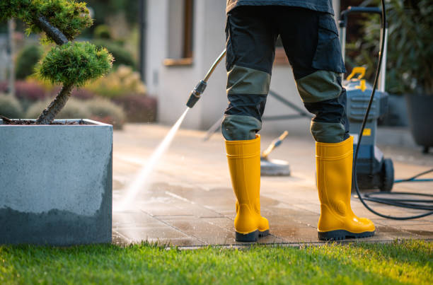 Best Pressure Washing Company Near Me  in Langley Park, MD